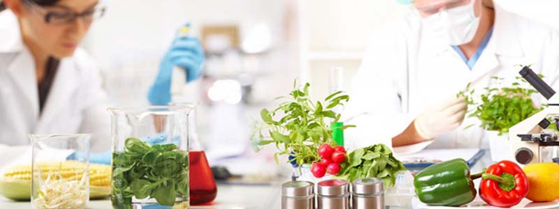 Микробиологический анализ продуктов