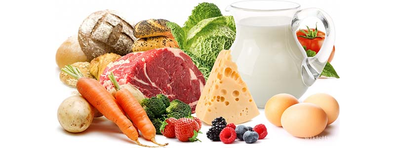 Микробиологический анализ продуктов